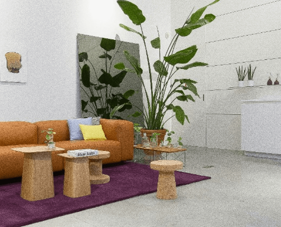 Speed Baccarat Rules